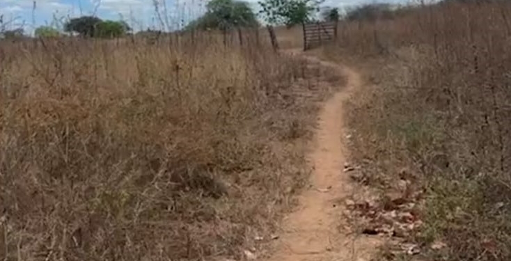 Corpos de adolescentes desaparecidos são encontrados em cova rasa no bairro Boa Vista, em Mossoró