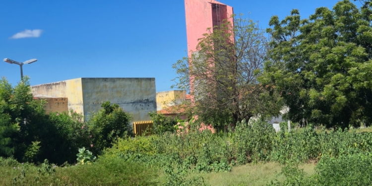 Servidores denunciam situação do Case Mossoró: “Parece uma fazenda”: